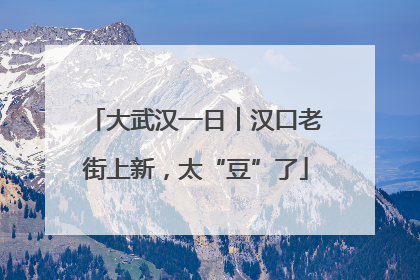 大武汉一日︱汉口老街上新，太“豆”了
