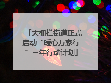 大栅栏街道正式启动“暖心万家行”三年行动计划