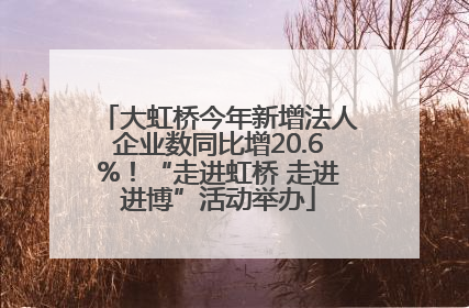 大虹桥今年新增法人企业数同比增20.6%！“走进虹桥 走进进博”活动举办