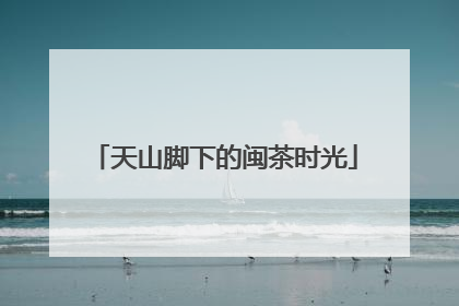 天山脚下的闽茶时光