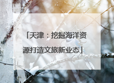 天津：挖掘海洋资源打造文旅新业态