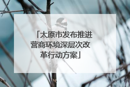 太原市发布推进营商环境深层次改革行动方案