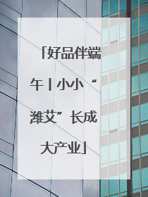 好品伴端午丨小小“潍艾”长成大产业