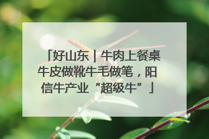 好山东｜牛肉上餐桌牛皮做靴牛毛做笔，阳信牛产业“超级牛”