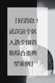 好消息！武汉这个区入选全国首批综合类典型案例