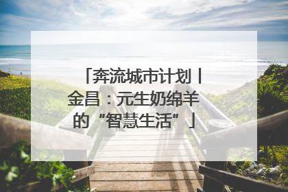 奔流城市计划丨金昌：元生奶绵羊的“智慧生活”