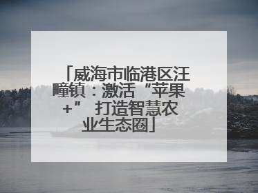威海市临港区汪疃镇：激活“苹果+” 打造智慧农业生态圈