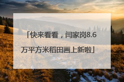 快来看看，闫家岗8.6万平方米稻田画上新啦