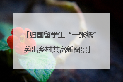 归国留学生“一张纸”剪出乡村共富新图景