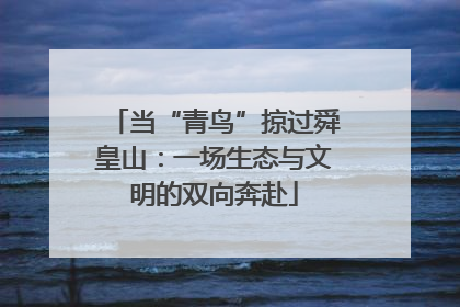 当“青鸟”掠过舜皇山：一场生态与文明的双向奔赴