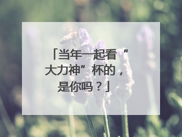 当年一起看“大力神”杯的，是你吗？
