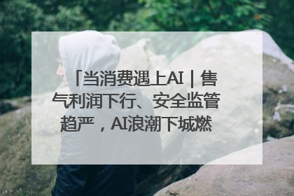 当消费遇上AI｜售气利润下行、安全监管趋严，AI浪潮下城燃企业如何破局