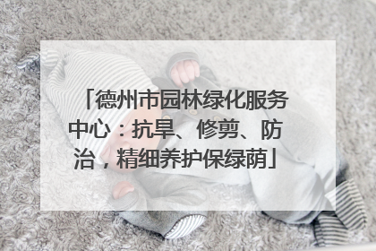德州市园林绿化服务中心：抗旱、修剪、防治，精细养护保绿荫