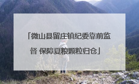 微山县留庄镇纪委靠前监督 保障夏粮颗粒归仓