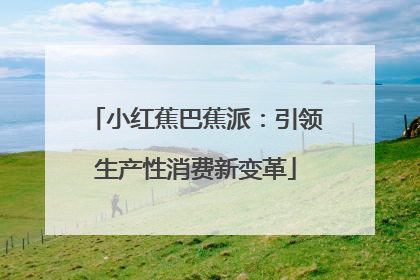 小红蕉巴蕉派：引领生产性消费新变革