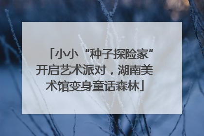 小小“种子探险家”开启艺术派对，湖南美术馆变身童话森林