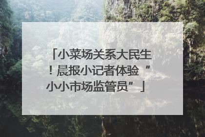 小菜场关系大民生！晨报小记者体验“小小市场监管员”