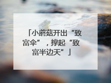 小蘑菇开出“致富伞”，撑起“致富半边天”