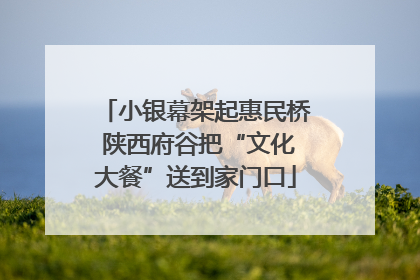 小银幕架起惠民桥 陕西府谷把“文化大餐”送到家门口