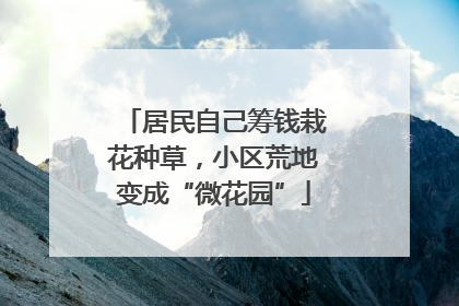 居民自己筹钱栽花种草，小区荒地变成“微花园”