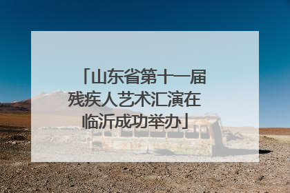 山东省第十一届残疾人艺术汇演在临沂成功举办