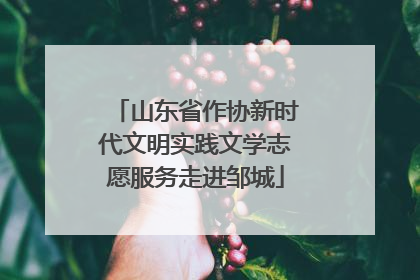 山东省作协新时代文明实践文学志愿服务走进邹城