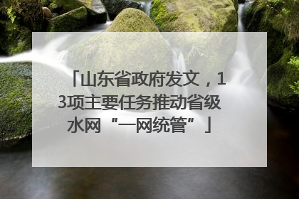 山东省政府发文，13项主要任务推动省级水网“一网统管”