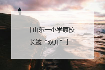 山东一小学原校长被“双开”