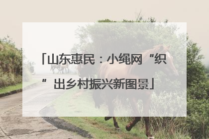 山东惠民：小绳网“织”出乡村振兴新图景