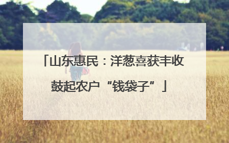 山东惠民：洋葱喜获丰收 鼓起农户“钱袋子”