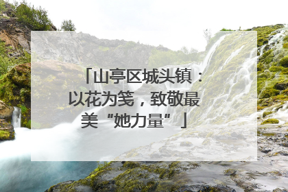 山亭区城头镇：以花为笺，致敬最美“她力量”