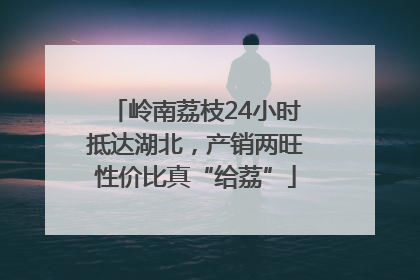 岭南荔枝24小时抵达湖北，产销两旺性价比真“给荔”