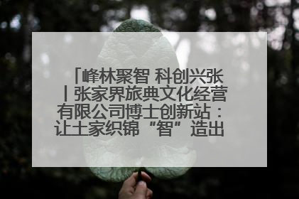 峰林聚智 科创兴张丨张家界旅典文化经营有限公司博士创新站：让土家织锦“智”造出非遗新传奇