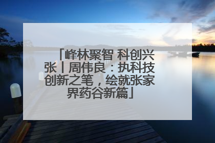峰林聚智 科创兴张丨周伟良：执科技创新之笔，绘就张家界药谷新篇