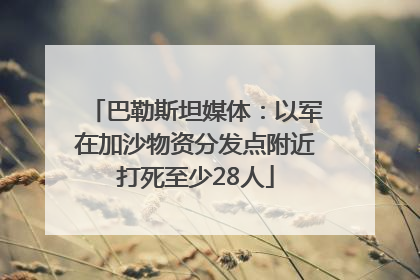 巴勒斯坦媒体：以军在加沙物资分发点附近打死至少28人
