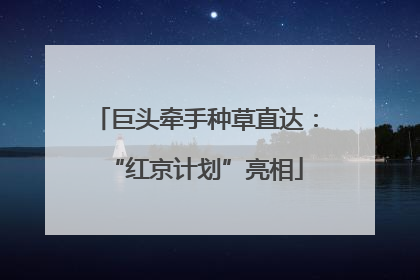 巨头牵手种草直达：“红京计划”亮相