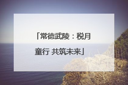 常德武陵：税月童行 共筑未来