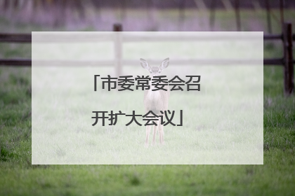 市委常委会召开扩大会议