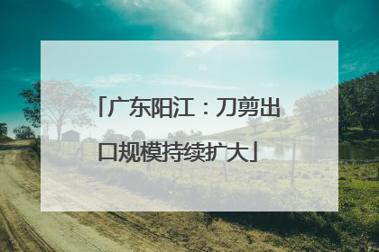 广东阳江：刀剪出口规模持续扩大