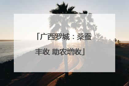广西罗城：桑蚕丰收 助农增收