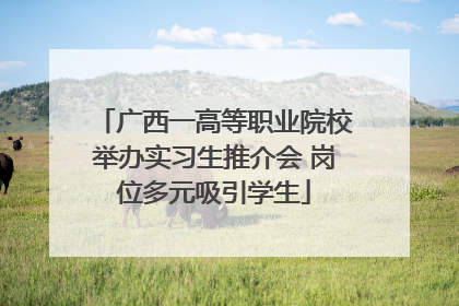 广西一高等职业院校举办实习生推介会 岗位多元吸引学生
