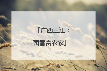 广西三江：菌香富农家
