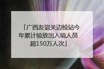 广西友谊关边检站今年累计验放出入境人员超150万人次