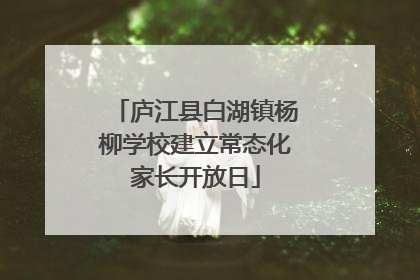 庐江县白湖镇杨柳学校建立常态化家长开放日