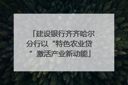 建设银行齐齐哈尔分行以“特色农业贷”激活产业新动能