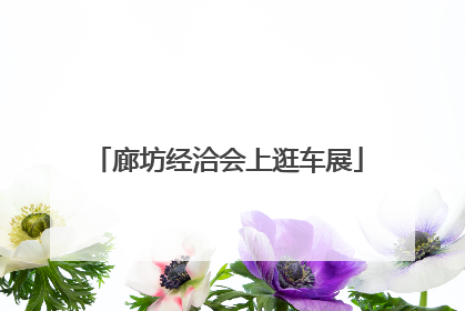 廊坊经洽会上逛车展
