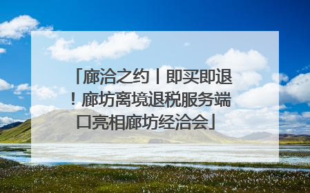 廊洽之约丨即买即退！廊坊离境退税服务端口亮相廊坊经洽会
