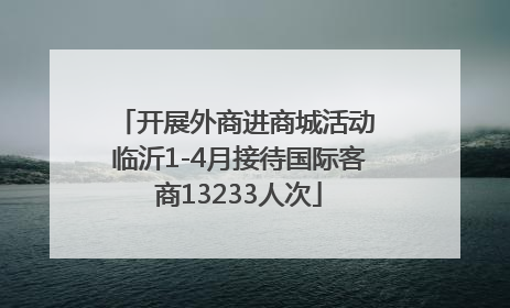 开展外商进商城活动 临沂1-4月接待国际客商13233人次
