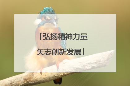 弘扬精神力量 矢志创新发展