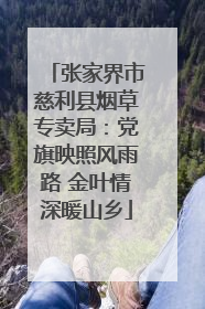 张家界市慈利县烟草专卖局：党旗映照风雨路 金叶情深暖山乡